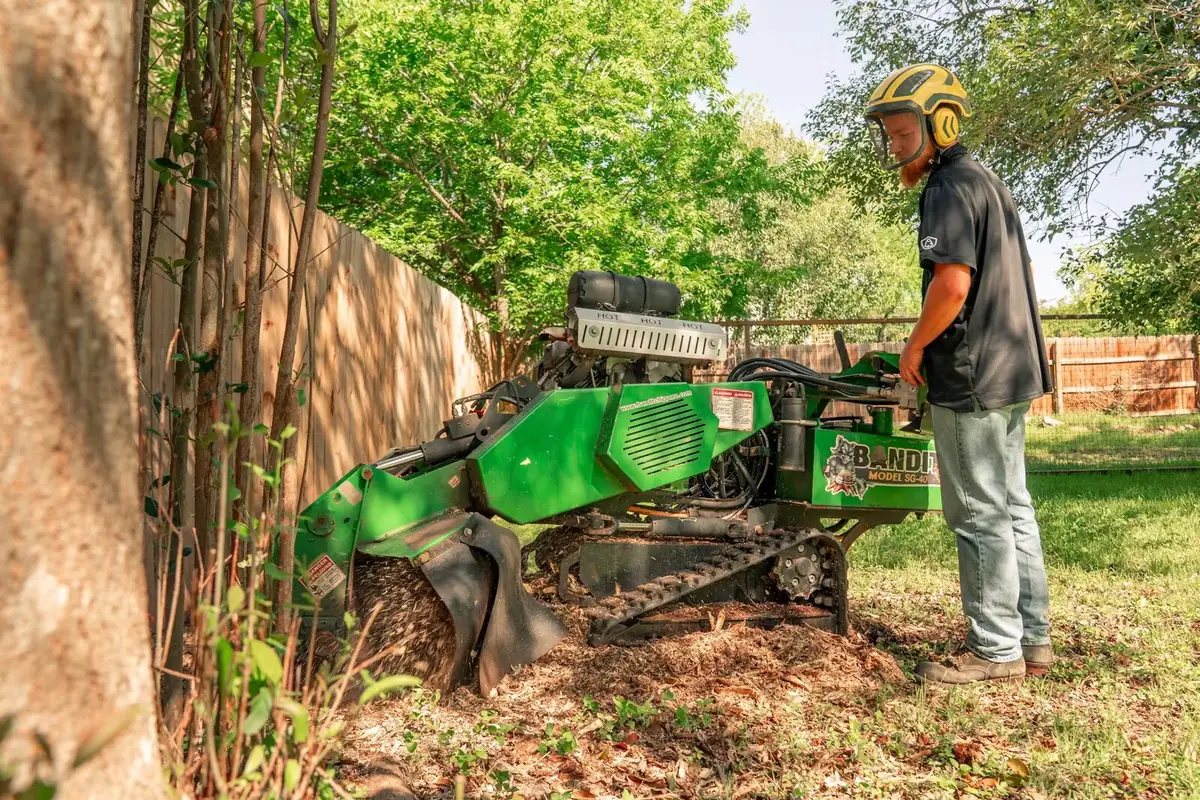 Stump grinding service in Rome, GA